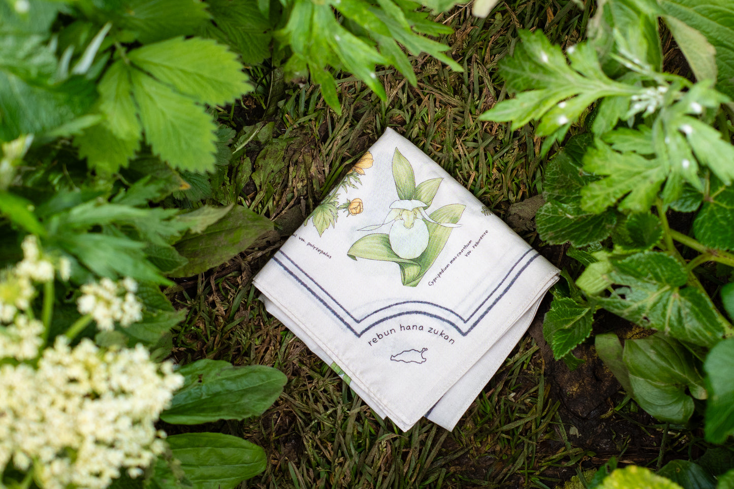 オリジナルブランド「 -Rebun Hana Zukan- 大判ハンカチ」|礼文観光ホテル 咲涼