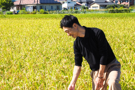 瀬戸内リトリート青凪スタッフ俊野さんが育てた新米5kg（愛媛県産/ あきたこまち）｜瀬戸内リトリート青凪