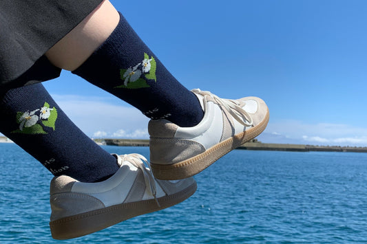 オリジナルブランド 「-Rebun Hana Zukan – 高山植物ソックス（レブンアツモリソウ）」｜礼文観光ホテル 咲涼