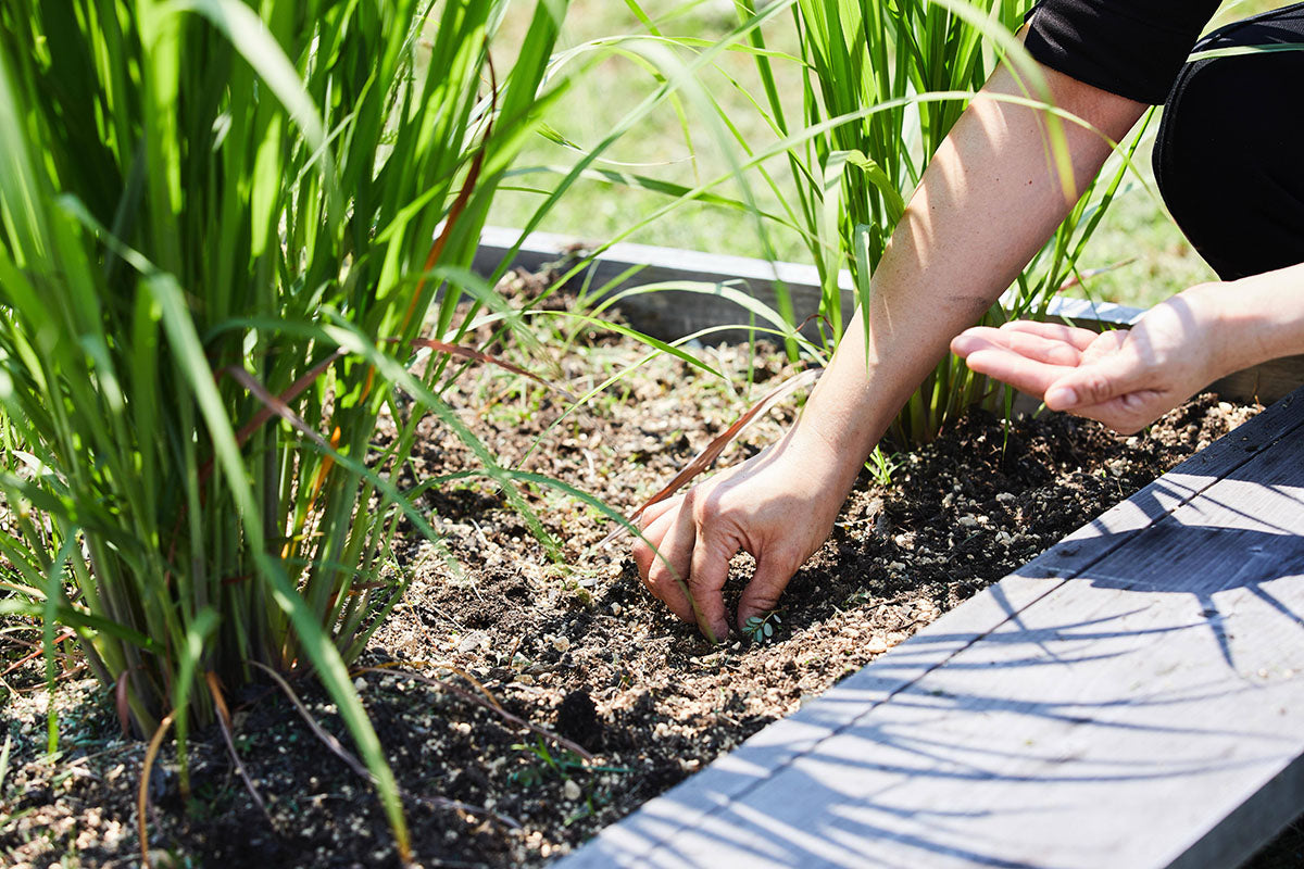 【10周年記念】10種の精油ルームフレグランス「ESSENCE OF AONAGI」｜ 瀬戸内リトリート青凪